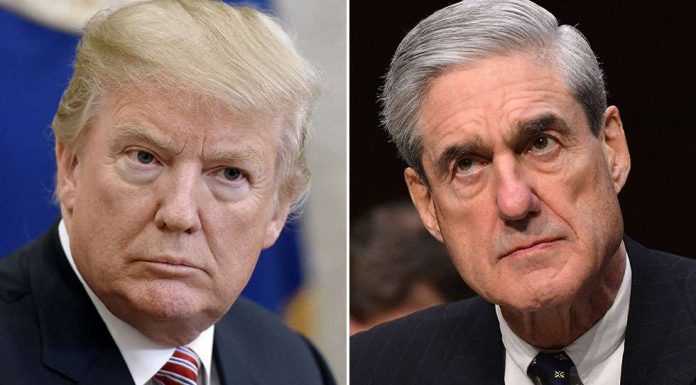 Mueller’s former assistant says grammatical errors prove leaked questions came from Trump