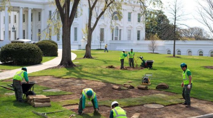 Sinkhole Forms on White House Lawn. Blame the Swamp. Really.