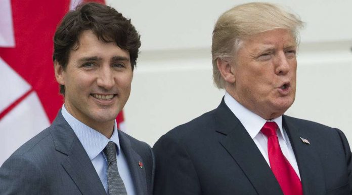 Former Trudeau adviser: Trump is a ‘pathetic little man child’