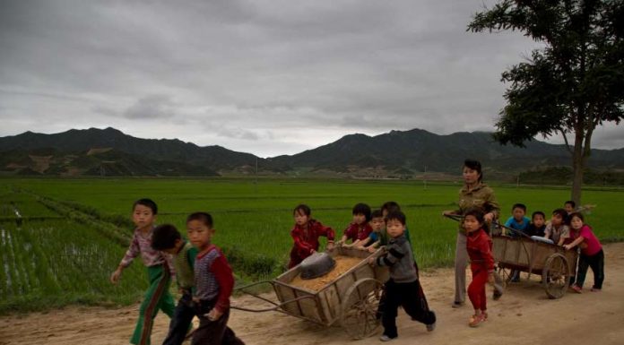 From ‘Punk Kid’ to 21st Century Tyrant: Kim Jong Un Seizes His Moment