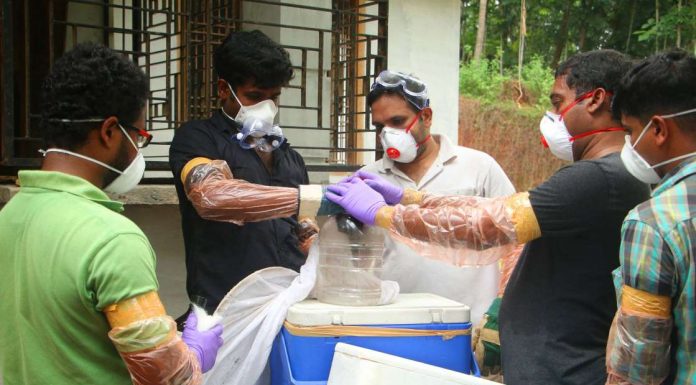 Nipah virus: Kerala breathes easy on outbreak, no deaths since May 30