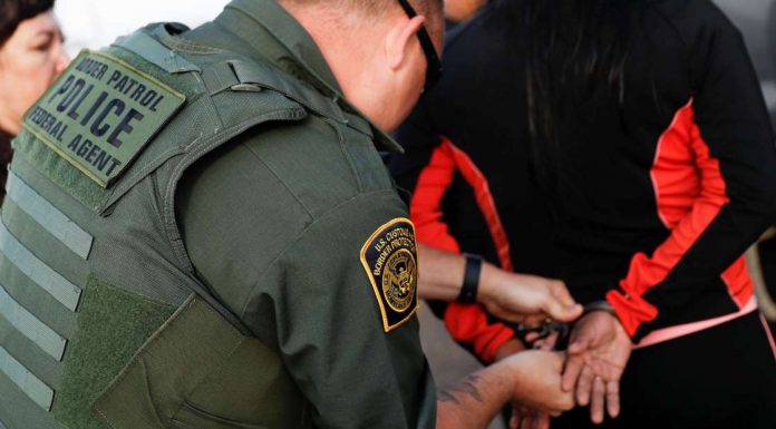 US Immigration agents arrest 114 at Ohio landscaper
