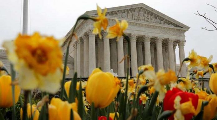 U.S. top court lets states force online retailers to collect sales tax