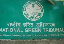 Soon, send email to seek justice from NGT: chairperson