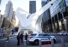 Investigation Into Pipe Bombs Turns Toward Florida as More Trump Critics Are Targeted