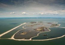 Dutch engineers build artificial islands to bring wildlife back