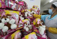 Trump’s trade war unleashes ‘hell’ on some Chinese toy manufacturers