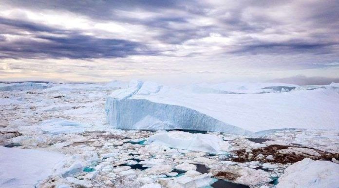Kids play in Arctic seas as 22C heatwave grips North Pole at climate change frontline
