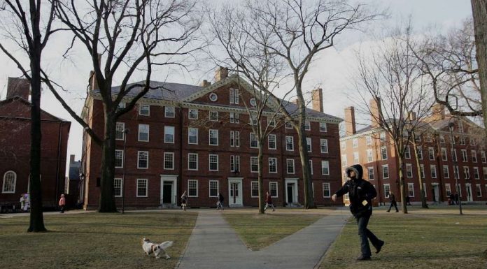 Harvard freshman deported after officials review friends’ social media posts: Report