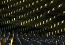 Counting the lives lost to COVID-19, not by the numbers