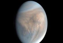 Clouds of uncertainty: Scientists claim to have spotted signs of life on Venus but skeptics prevail