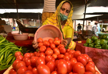 From Rs 10 To Rs 60 For 1 Kg: Why Tomato Prices Are Rising In Bengaluru