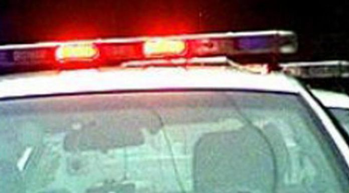 Group of 20-30 robbers swarm Best Buy in Minnesota on Black Friday