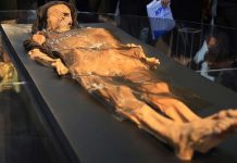 Archeologists find 800-year old mummy buried in underground tomb in Peru