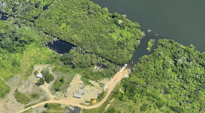 Crucial illegal road threatens Amazon rainforest as experts say stakes couldn’t be higher