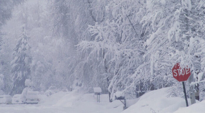 Farmers’ Almanac revealed its winter 2022 predictions, and it’s not looking good