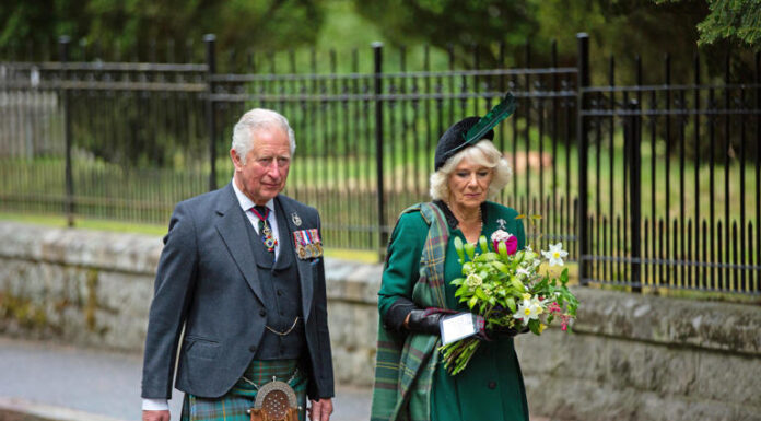 What happens to the other royals under King Charles III and his new slimmed-down monarchy?