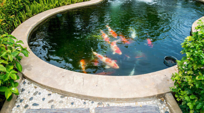 Real estate experts reveal the 8 upgrades that will no longer add value in 2026