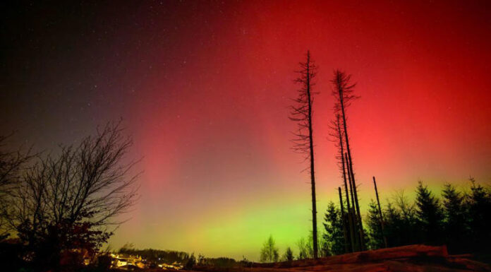 Sun releases the largest solar radiation storm in over 20 years, forecasters say