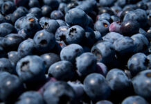 Thousands of blueberries recalled as FDA issues highest risk warning
